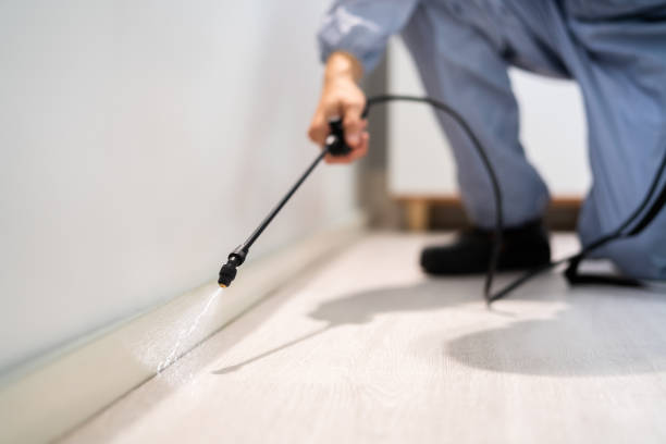 Professional exterminator conducting IPM assessment in Avalon